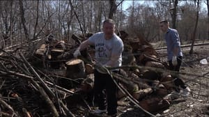 Démarre. Dans la zone du parc forestier "Sapitskaya Box" a tenu un autre samedi