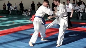 Conduce. Mari El Kyokushin competiciones reunió a más de 80 atletas en Mari El