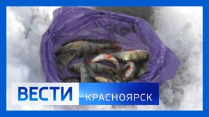 Вести. Красноярск Эфир от 18.03.2025