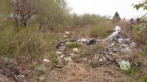 Две незаконные свалки обнаружили в амурском селе