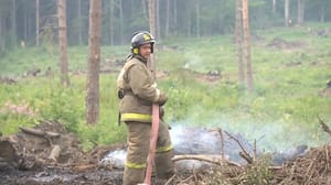 Новости Растет площадь природных пожаров в регионах России