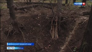 Вести. Белгород Шебекинский госпиталь ветеранов войн попал под обстрел ВСУ