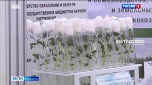 Вести. Чувашия - На участие в выставке "Картофель-2023" в Чувашии подали заявки 88 компаний страны