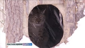 Владимир. Местное время. Суббота Эфир от 11.03.2023