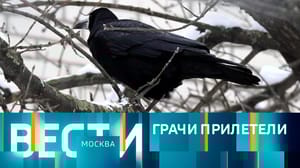 Вести-Москва Эфир от 01.04.2023 (08:20)
