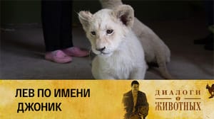 Диалоги о животных Ташкентский зоопарк Серия 10