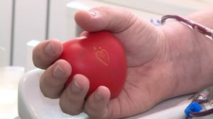 Вести. Мордовия - Почетными донорами в Мордовии стали еще 8 человек