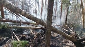 Факты На помощь курганским спасателям прибыли огнеборцы из Югры