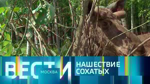 Вести-Москва Эфир от 02.06.2023 (14:30)