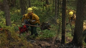 Новости Почти 800 человек тушат лесные пожары в Якутии