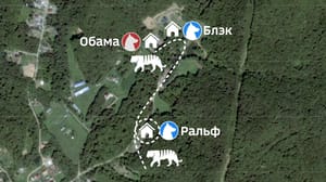 Вести. Приморье "За грибами в лес ни ногой": тигр нагнал страху на жителей нескольких сел в Приморье
