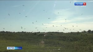Вести. Брянск Эфир от 04.08.23 (21:05)