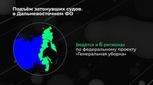 Инфографика Россия в цифрах. Федеральные проекты "Чистая страна" и "Генеральная уборка"