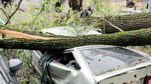 Погода 24 По европейской части России пронесся шторм