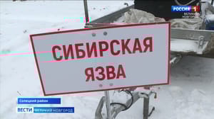 Вести. Великий Новгород Новгородский комитет ветеринарии провел учения по ликвидации условных очагов заразных болезней животных