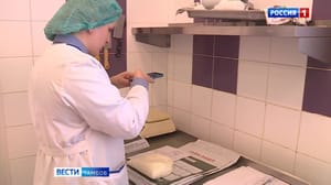 ВестиТамбов Россельхознадзор проверяет качество обедов в детских садах региона
