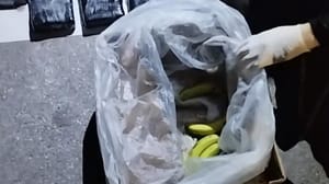 Вести. Дежурная часть В Калининграде изъяли партию особо опасных для здоровья бананов