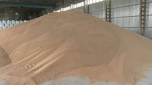 Новости Экспорт семян сельхозкультур из Курской области с начала года увеличился в 4 раза
