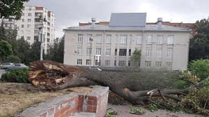 Погода 24 Штормовой циклон пришел в Европейскую Россию