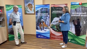 Вести. Хабаровск. Большое утро Сегодня во всем мире отмечается Международный день тигра