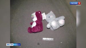 ВестиТамбов Кража из цветочного павильона