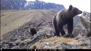 Вести. Иркутск Эфир от 06.08.2024 (09:00)