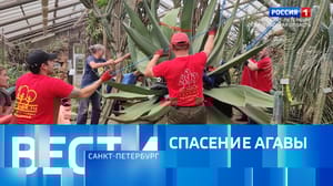 Вести. Санкт-Петербург - Эфир от 07.08.2024 (21:05)