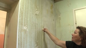 Вести. Псков Неожиданно пошел дождь. В доме на Рижском протечки по вине подрядчика