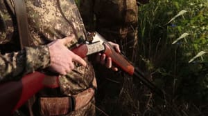 Вести. Кубань На Кубани объявили открытым сезон охоты