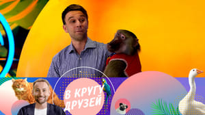 В кругу друзей Эфир от 08.09.2024