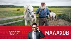 Малахов Новые русские иностранцы. Часть 2