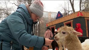 Вести. Дон - Эфир от 14.12.2024 (08:00)