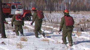 Вести-Чита Повышенная пожарная опасность ожидается на юго-востоке Забайкалья в марте