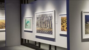 シャルジャの国際写真展で発表されたプロジェクト「Feed the planet」