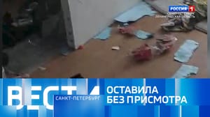 Вести. Санкт-Петербург Эфир от 26.02.2025 (11:30)