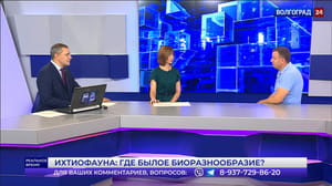 Реальное время. Волгоград Ихтиофауна: где былое биоразнообразие? Эфир от 13.07.2022 Часть 2
