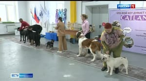 Вести-Биробиджан Национальная выставка всех пород собак прошла в Биробиджане