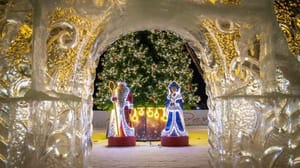 Вести – Амурская область Предновогодние конкурсы стартуют в Благовещенске