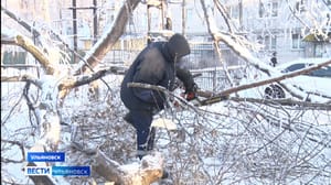 Вести Ульяновск - Красивые,но опасные