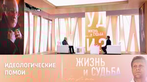 Жизнь и судьба Из-за чего Дмитрий Пучков поссорился с супругой