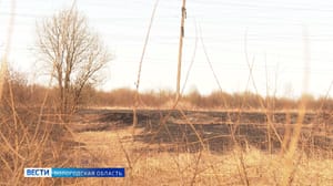 Вести. Вологодская область Пожароопасный сезон: как не допустить крупных палов травы в Вологодской области