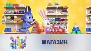 Цветняшки 2 сезон Магазин