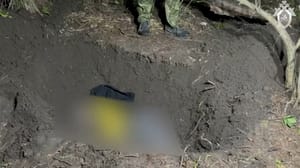 Новости СК показал видео с места, где был спрятан труп девушки-аниматора