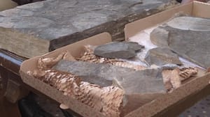 Новости культуры Назад в прошлое: Якутии появится первый в России музей Кембрийского периода