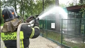 Вести. Кострома Пожарные устроили бодрящий душ обитателям Костромского зоопарка