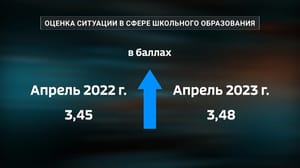Оцифровка Жители Челябинской области назвали главные проблемы школьного образования