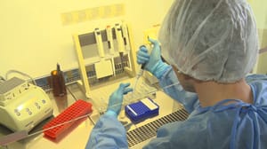 Вести – Амурская область - Житель Бурейского округа заразился клещевым боррелиозом