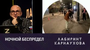 Лабиринт Карнаухова Куда смотрит московская полиция? Эфир от 05.09.2023