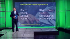 Экономика. Амурская область Число самозанятых в Приамурье превысило количество предпринимателей