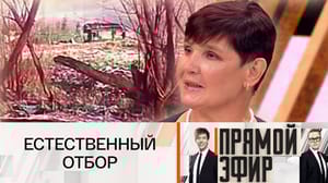 Прямой эфир Отшельница призналась, что в тайге похоронила двоих новорожденных сыновей